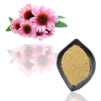 De zuivere Natuurlijke van het Poederechinacea Purpurea van het Installatieuittreksel Massa van het het Uittrekselpoeder
