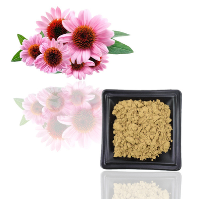 ISO-Polyphenol van het Certificaat100% Natuurlijke Echinacea Purpurea Uittreksel 10%