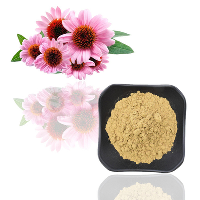 7% zuivere van het de Installatieuittreksel van Echinacea Purpurea het Poederpolyphenols Uittreksels