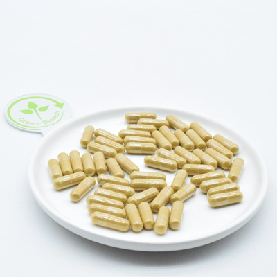 Changbai Mountain Panax Ginseng Roots Farmaceutisch Vers Ginseng