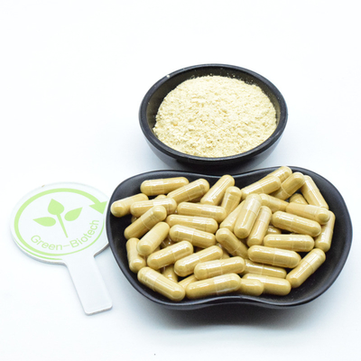 Ginsengwortel Natuurlijke plant extracteert gedroogd vers ginsengpoeder