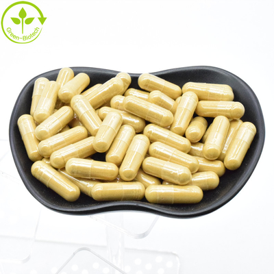 Fabrieksvoorziening Ginseng Root Powder Panax Ginseng Extract 20:1 Ginsenoside 80%