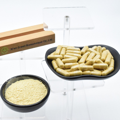 100% natuurlijk plantenextract Ginseng extract poeder voor het versterken van vitale energie