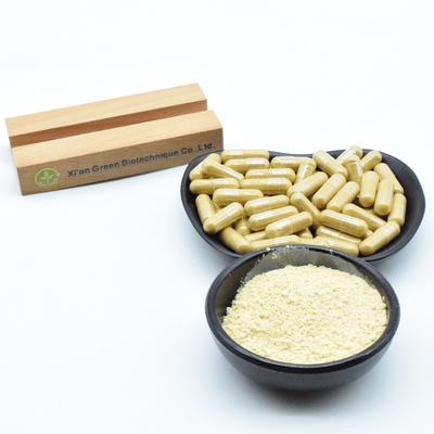 Rood Koreaans Ginseng Root Extract Ginsenoside 80% Poeder