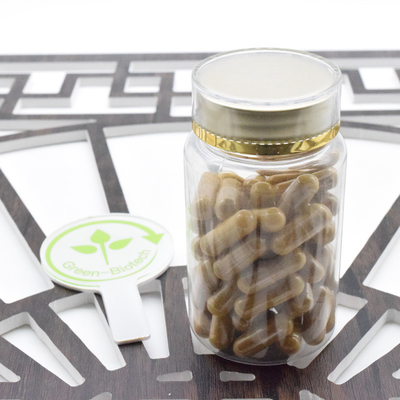 Gezondheidszorg Supplement Puur Panax Ginseng Poeder Panax Ginseng Extract 5%-80% Ginsenoside