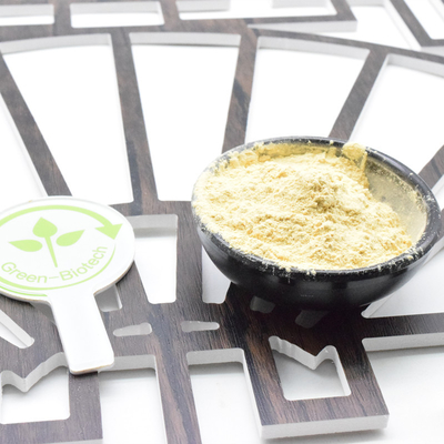 Fabrieksvoorziening Ginseng Root Powder Panax Ginseng Extract 20:1 Ginsenoside 80%