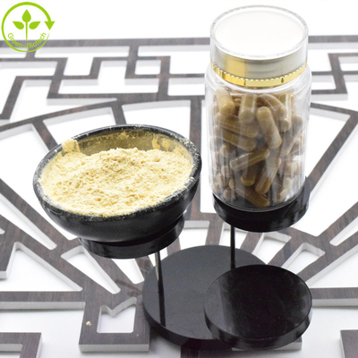 Natuurlijke Amerikaanse Ginseng Extract 5% - 80% Ginsenosiden Door UV HPLC