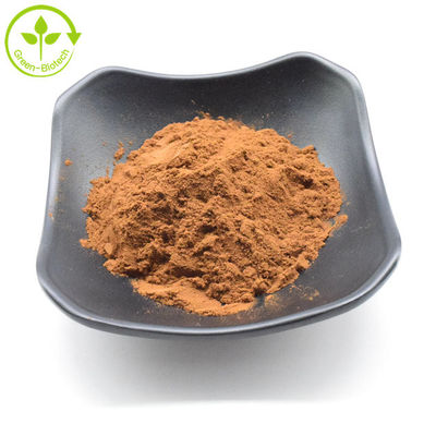 Hoogwaardig geel bruin Chrysanthemumbloem extract 5% Flavonen