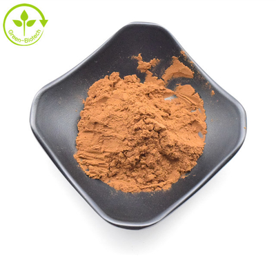 Hoogwaardig geel bruin puur wild Chrysanthemum Flower Extract 20:1