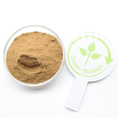Groothandel Geel Bruin Dendrobium Nobile Extract Poeder 20:1 in bulk