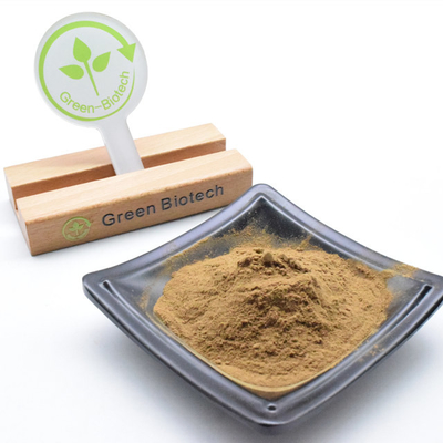 Fabrieksvoorziening Dendrobium Officinale Extract Geconcentreerd Dendrobium Candidum Extract Poeder