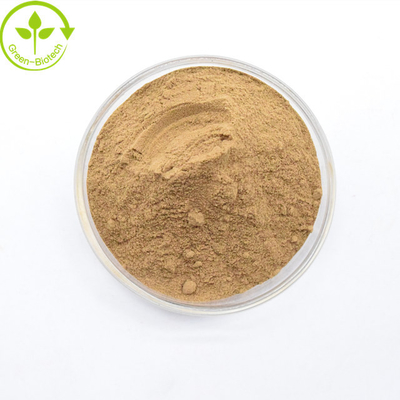 Dendrobium Candidum poeder Bulk Pure Natural Dendrobium Officinale Extract Poeder