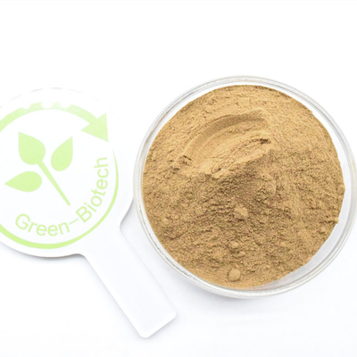 Warm verkrijgbaar 10:1 Organic Dendrobium Officinale Extract Powder