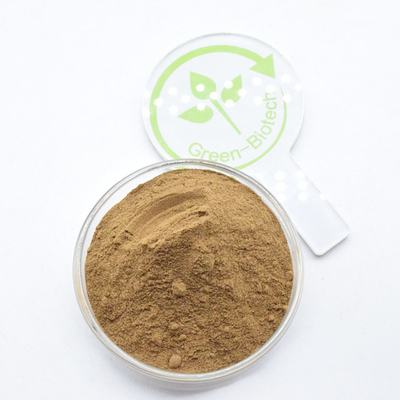Bulk Bruin fijn poeder 10:1 5:1 20:1 Dendrobium officinale extract