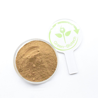 Producent Direct leveren Geel Bruin Dendrobium Extract Poeder