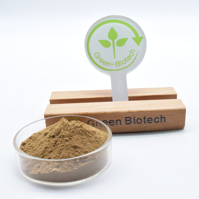 Warm verkrijgbaar laagste prijs Geel Bruin Dendrobium Extract Poeder 5:1
