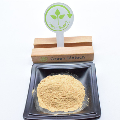 Ecdysterone 90% Beta-Ecdysterone Fabrieksvoorraad Deweed Extract