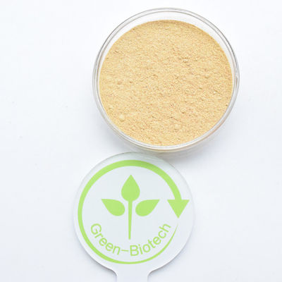 HPLC 90% Cyanotis Arachnoidea Extract Beta Ecdysterone Poeder Hydroxyecdysone