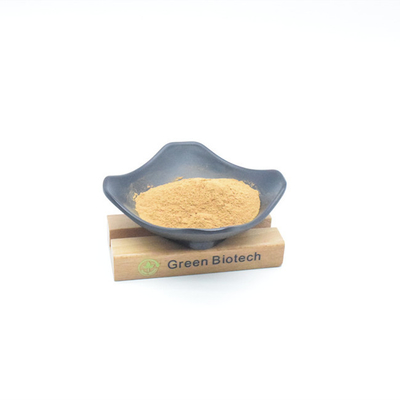 Natuurlijke plantenextracten Groothandel Beste prijs Maca-extractpoeder voor haarbehandeling
