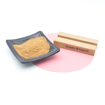 Natuurlijke plantenextracten Warme producten Natuurlijke maca-extractpoeder voor mannen Verbetering