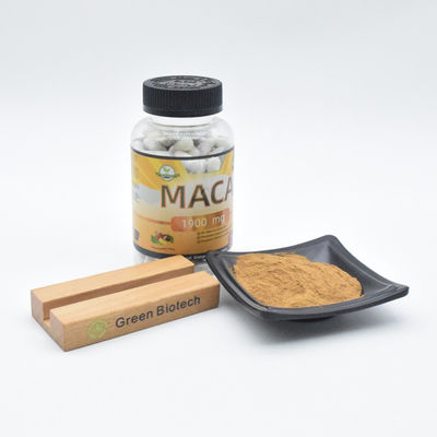 Levering van hoogwaardig Maca-extractpoeder Groothandelsprijs
