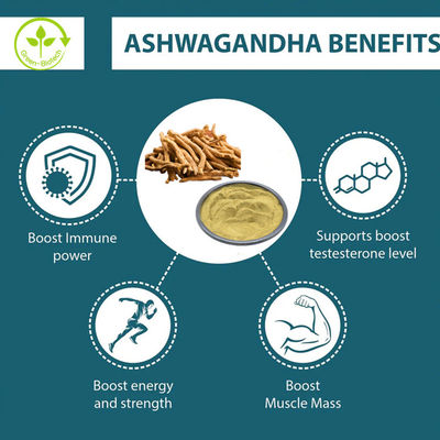 Hoogwaardig Ashwagandha Extract 5% Withanolide Voor Ashwagandha Capsules