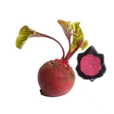 Best verkopende producten Bieten Bietenwortelpoeder Bietenwortelsappoeder