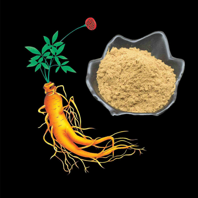 80 Mesh Ginseng Root Extract Powder 1%-80% Natuurlijke Installatieuittreksels