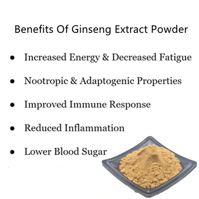 80 Mesh Ginseng Root Extract Powder 1%-80% Natuurlijke Installatieuittreksels