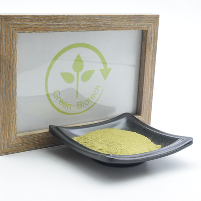 Plechtige Organische Matcha-de Uittrekselsanti-oxyderend van de Poeder Natuurlijke Installatie